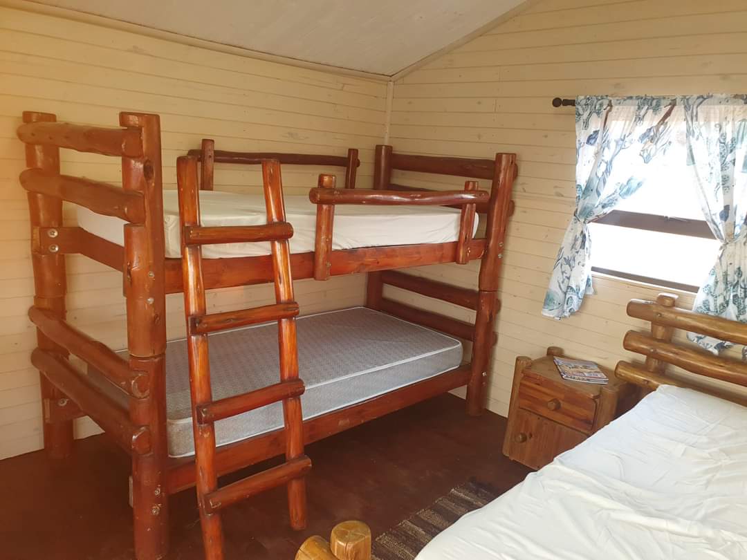 Swim 20 - Kingfisher Cabin - Image 4